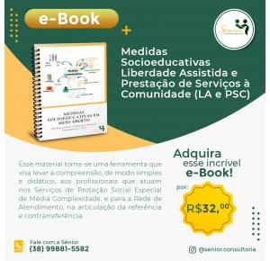 E-book: Medidas Socioeducativas Liberdade Assistida e Prestação de Serviços Ã  Comunidade (LA e PSC)